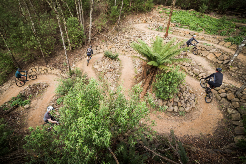 Blue Derby Mountain Bike Trails – Tasmania’s best…