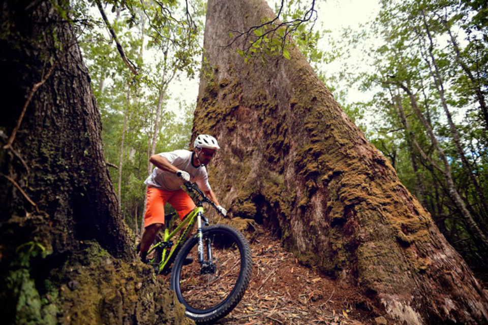 For more serious riders there’s now a selection of more challenging trails on offer to add to the exisiting adventure trail network.