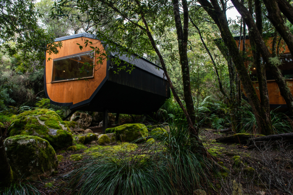 Our Pods surrounded by forest