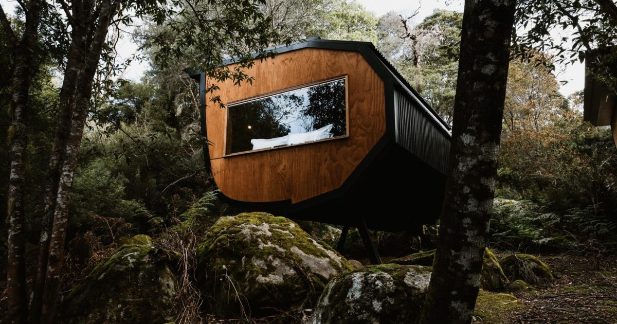 Blue Derby Pods Ride Derby Tasmania Mountain Biking Experience
