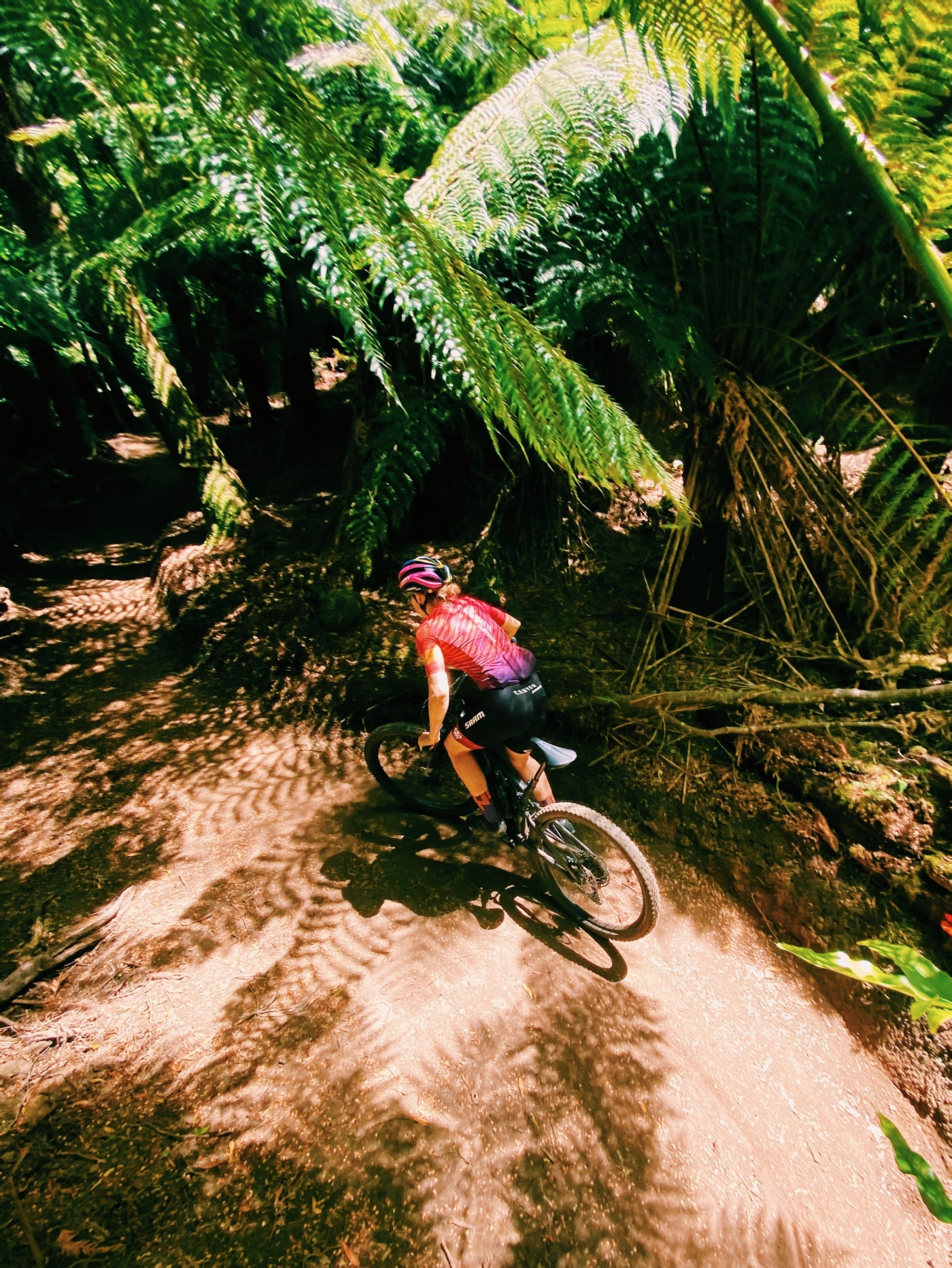 Tiffany riding the Blue Tier, Derby Tasmania