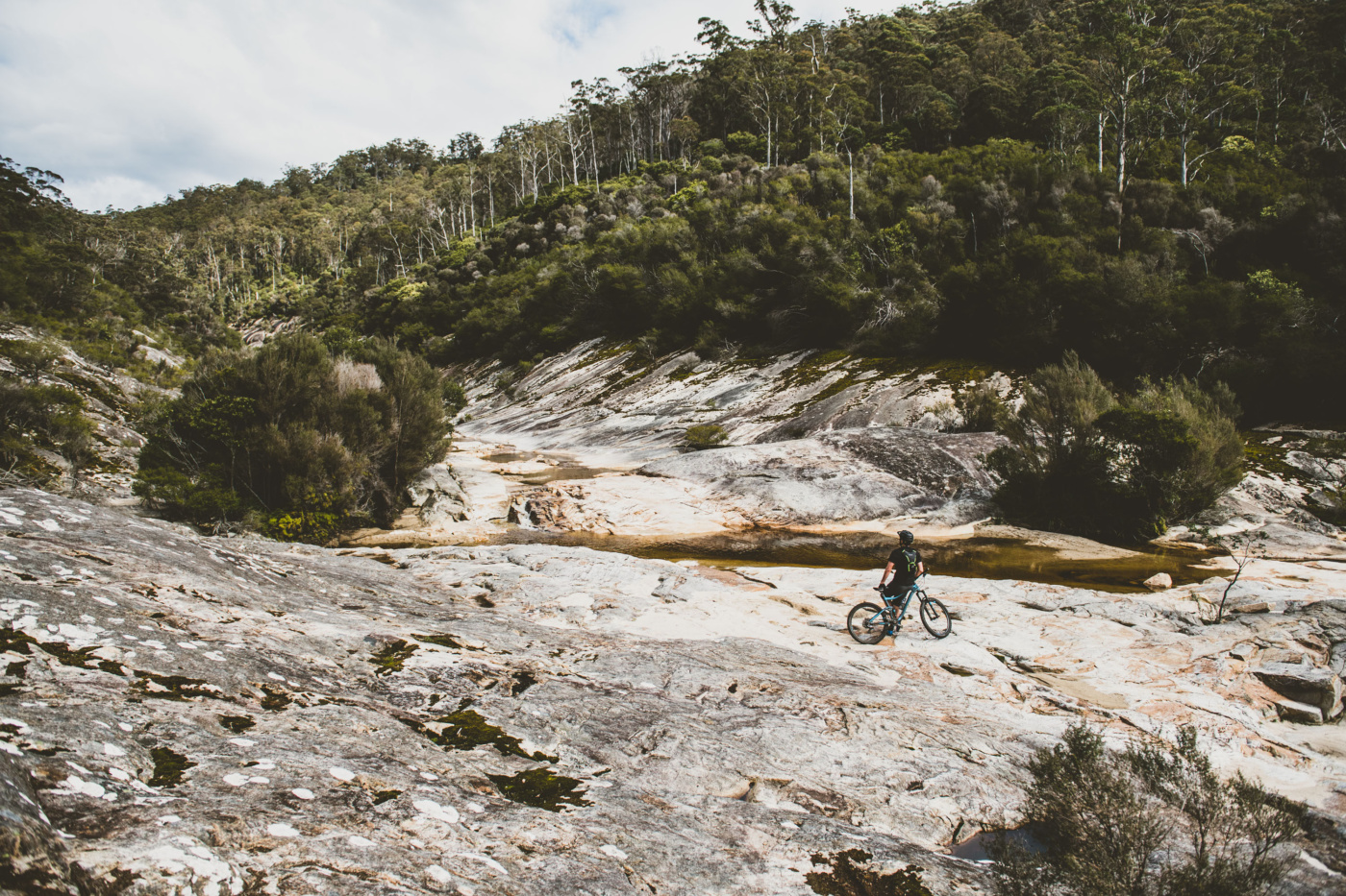 Cascade Valley, Derby Tasmania