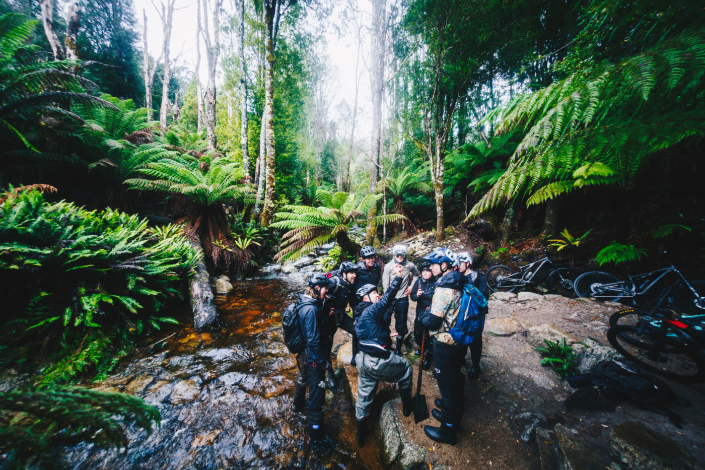 The Pods team with Des Grey inspecting sapphires in the rainforest.
