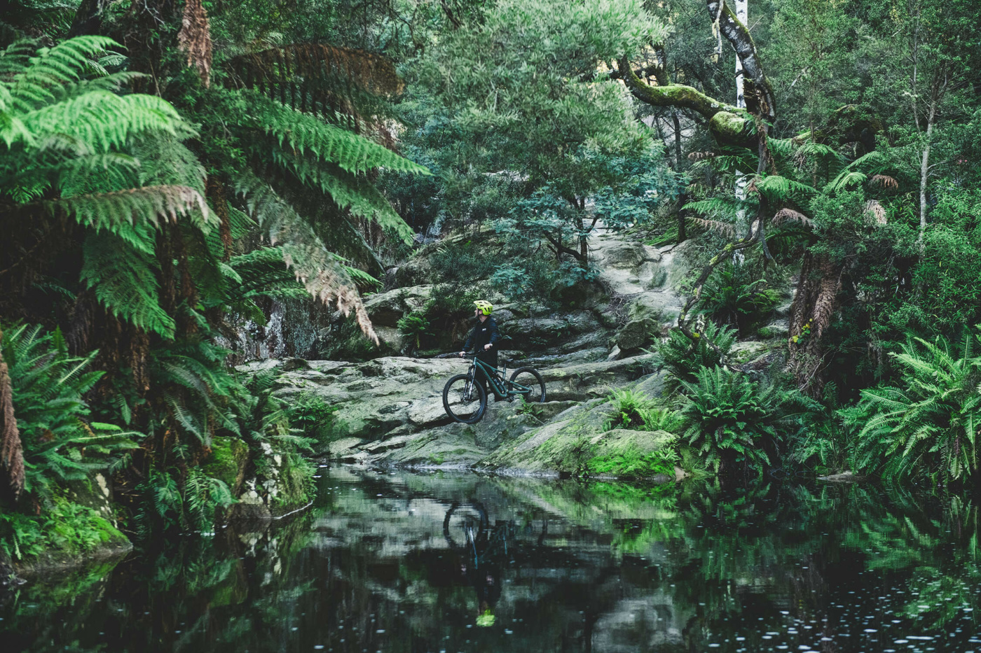 Admiring Tasty Trout Falls surrounded by lush rainforest